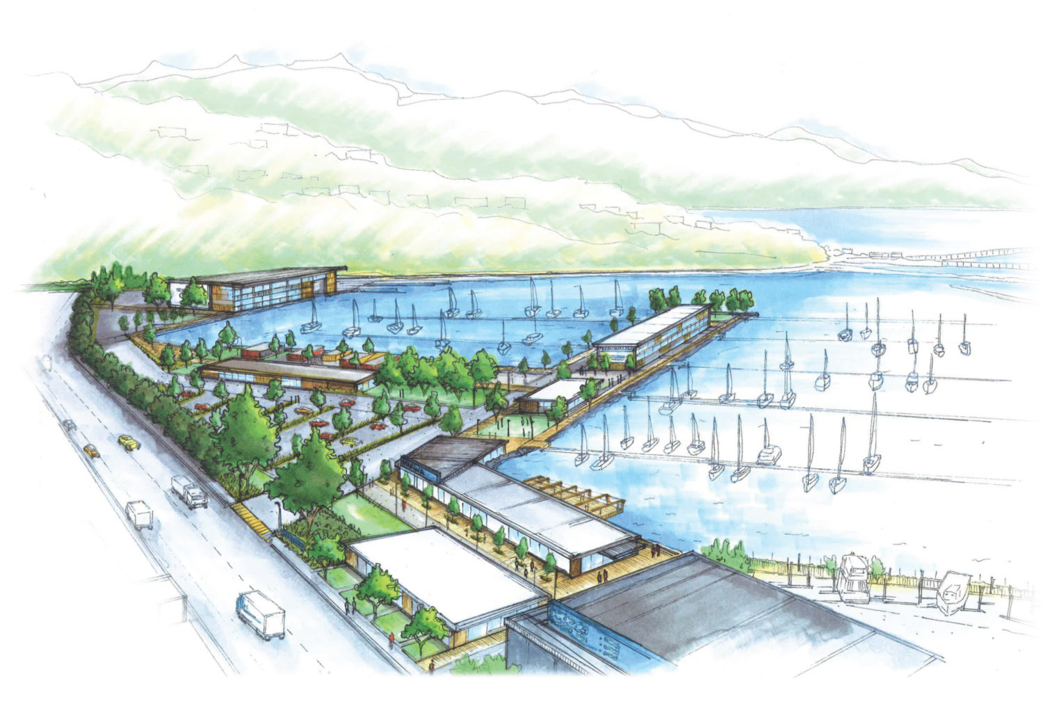 Seaview Marina Master Planning cover image