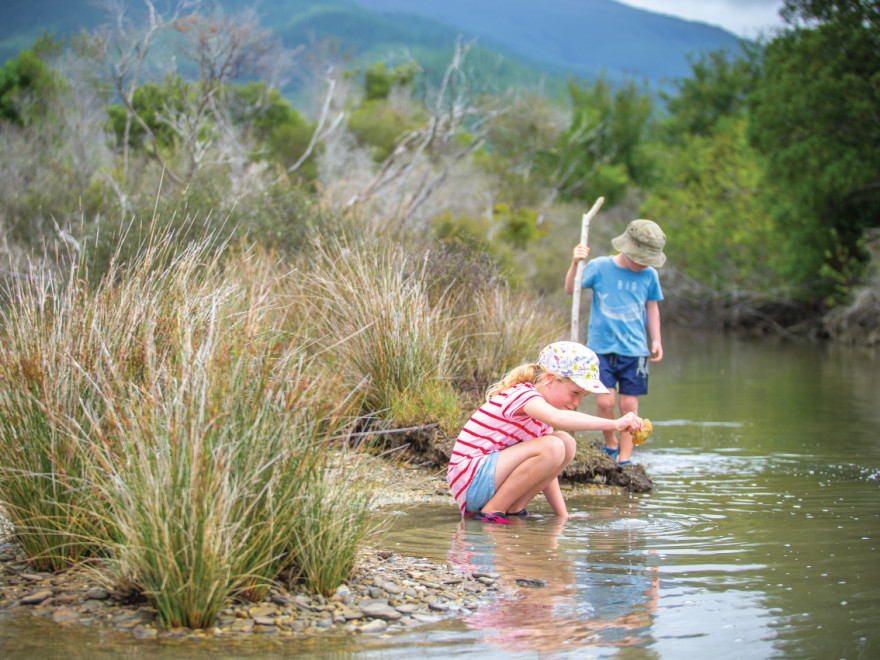 Environment Aotearoa 2019 Report cover image