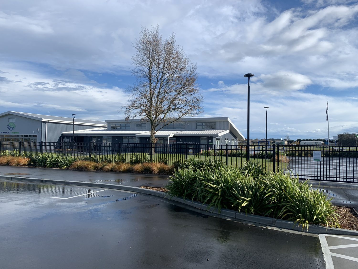 Te Matauru Primary School – Landscape Design cover image
