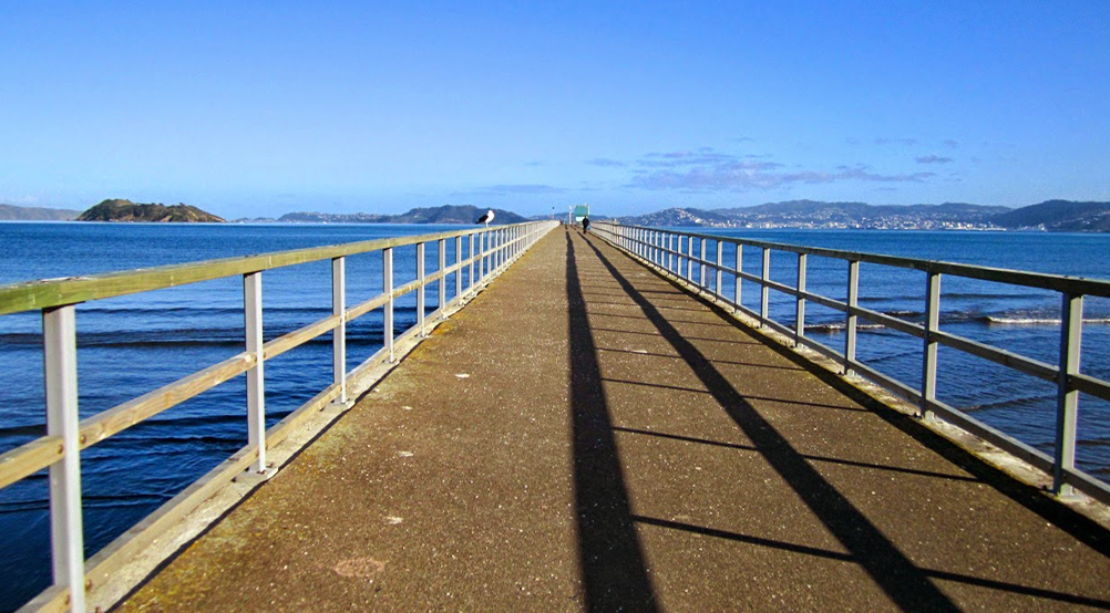 Petone and Point Howard Wharf Planning Services cover image